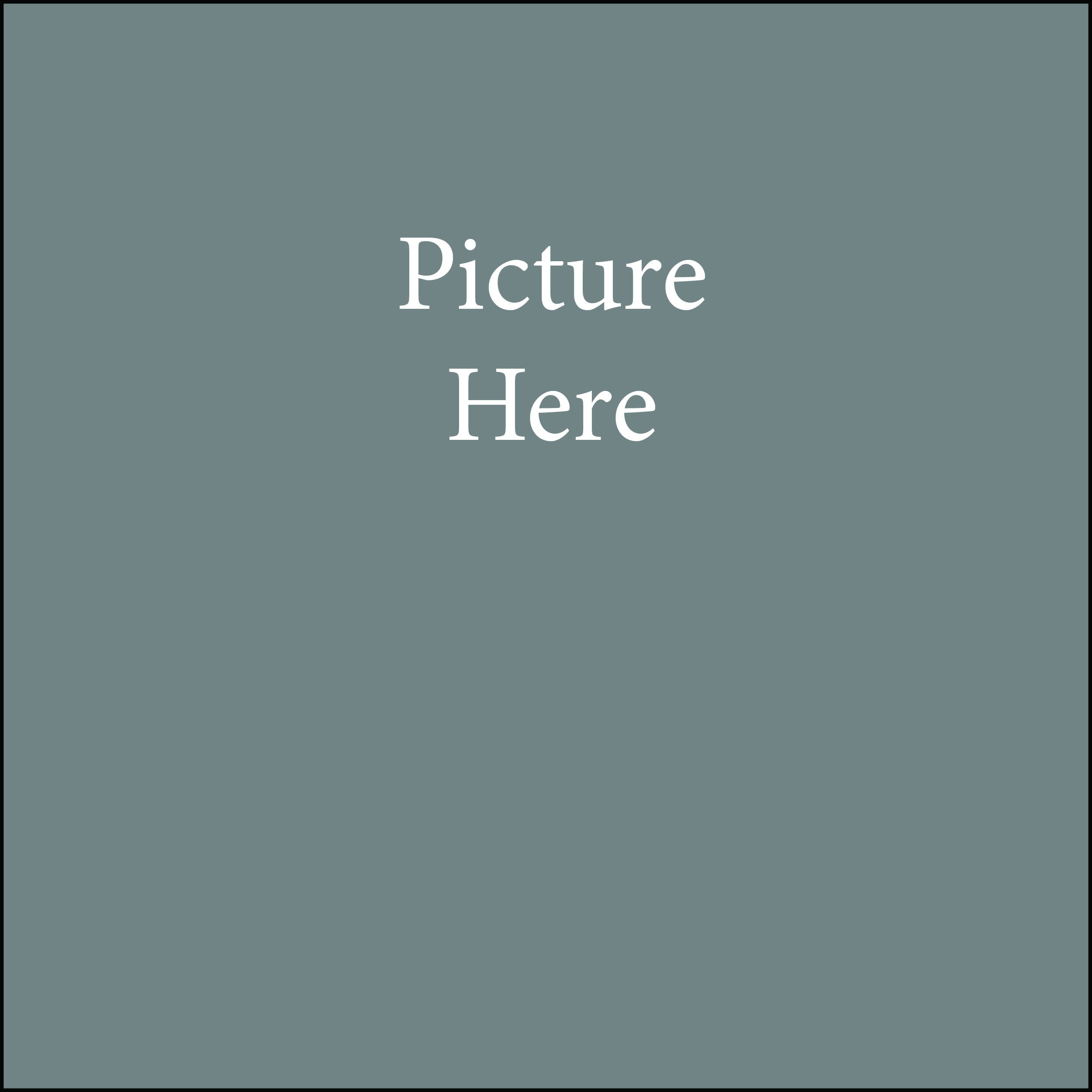 picture holder